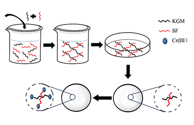 A Study on the Preparation of Konjac Glucomannan-Silk Fibroin Composite Aerogels and Its Adsorption of Water Pollutant Cr(Ⅲ) 2011-2774